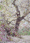 北本　石戸蒲桜 「桜吹雪」