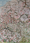 京都 　「醍醐の桜」（部分）