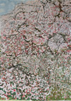 京都 　「醍醐の桜」（部分）