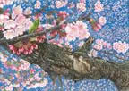 埼玉・川口市 「密蔵院の安行桜」 